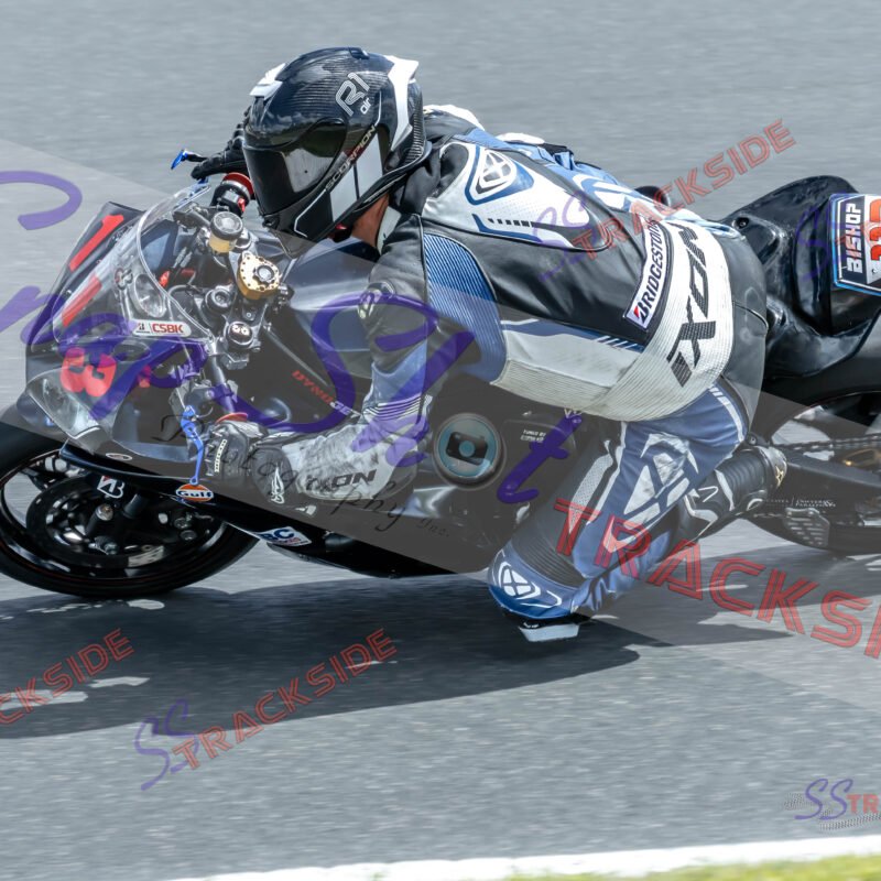AMSport-Sat-R-2213.jpg