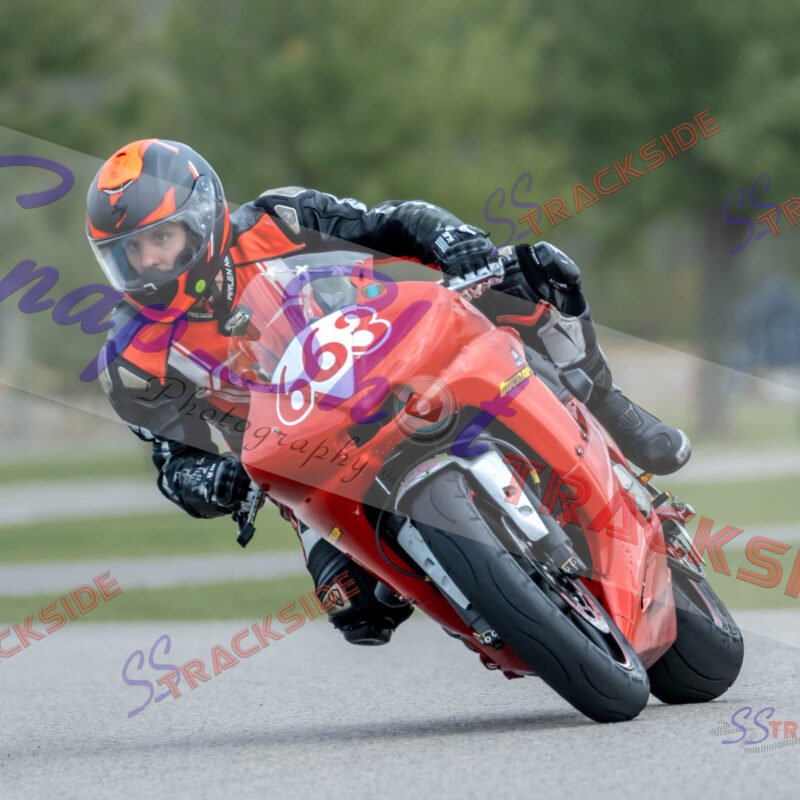 ProAM-7-2654.jpg