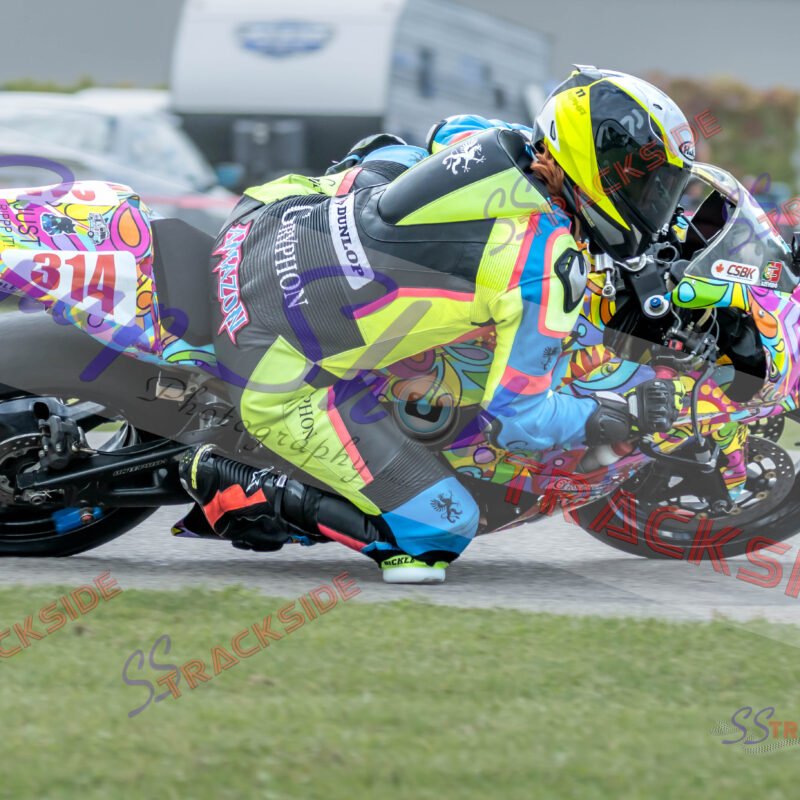 ProAM-7-2695.jpg