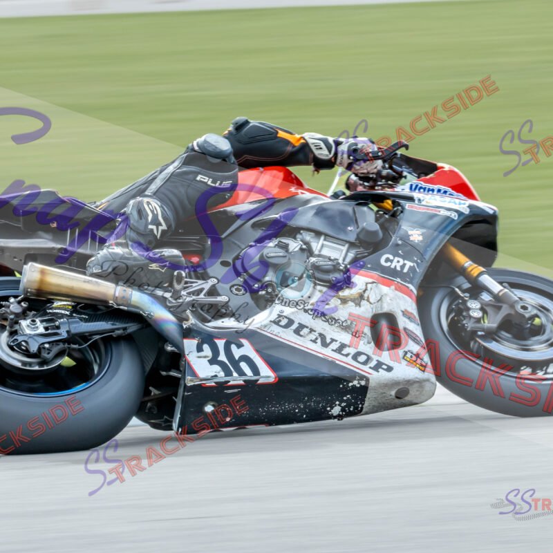 ProAM-7-2813.jpg