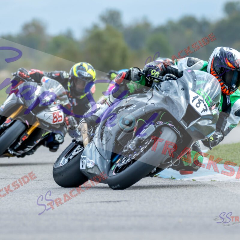 ProAM-7-2936.jpg