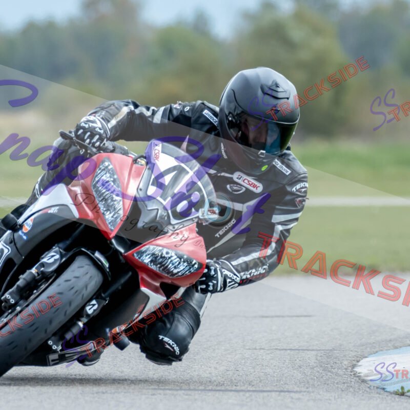 ProAM-7-2939.jpg