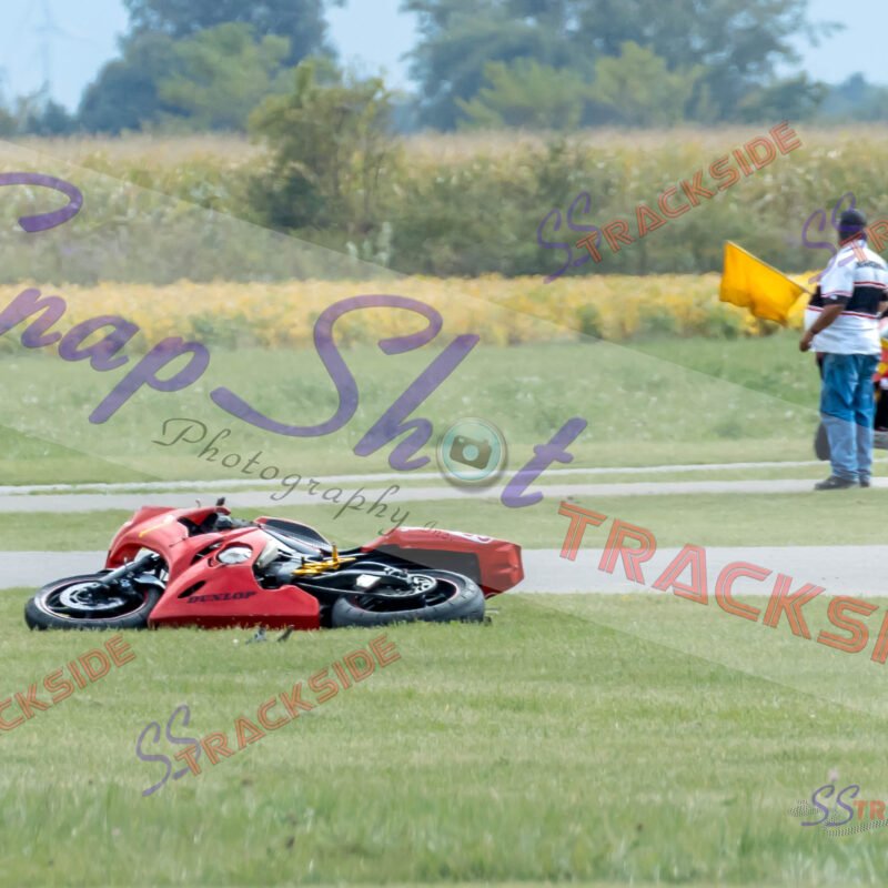 ProAM-7-3019.jpg
