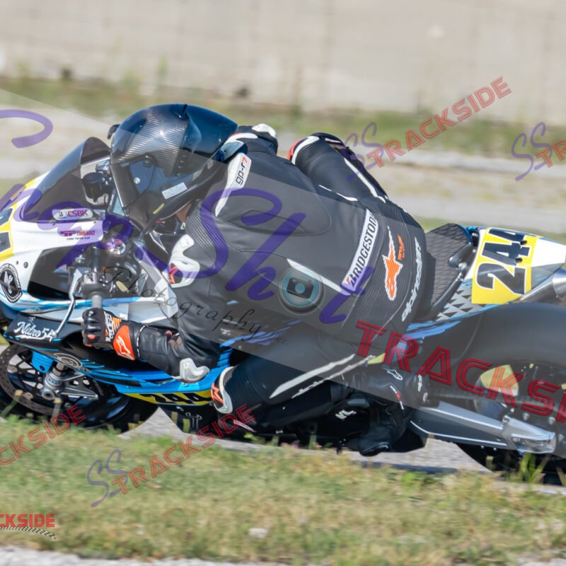 R-R3-ABottHRook-2017.jpg