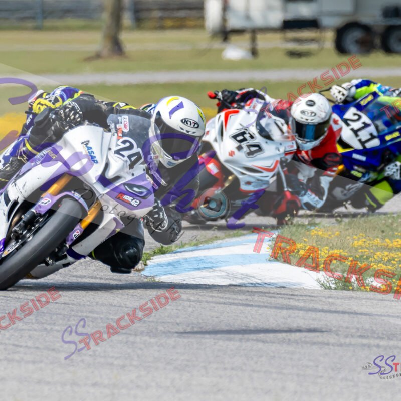 Q-R3-ProAM600-7954.jpg