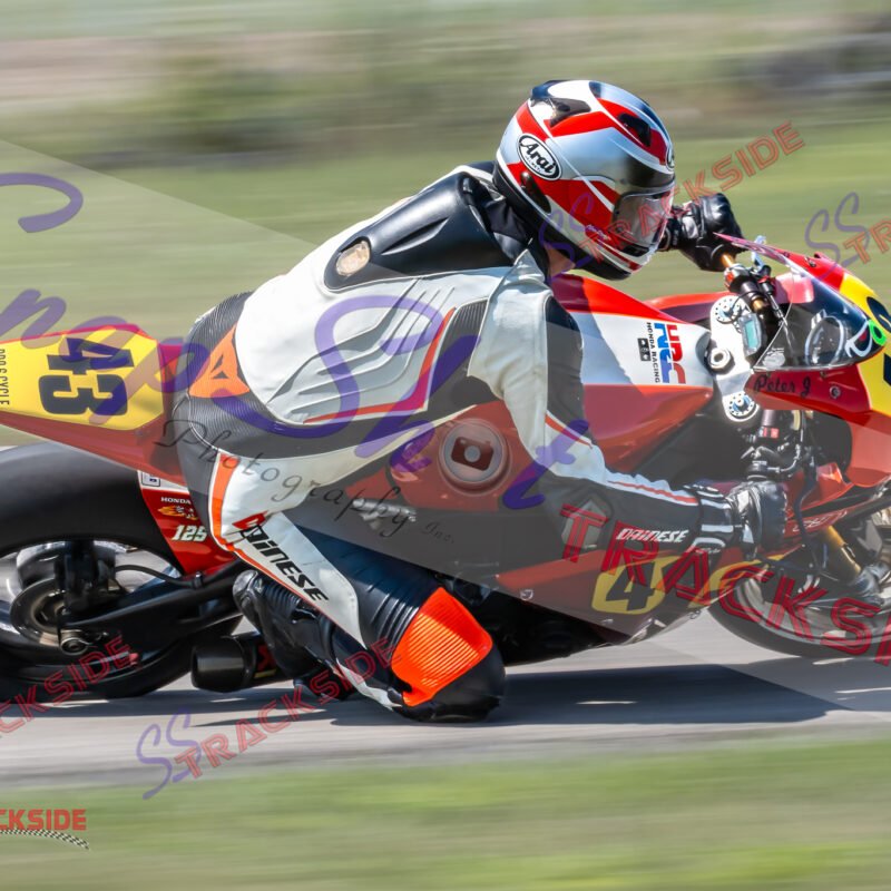 Q-R4-ProAmO-2408.jpg
