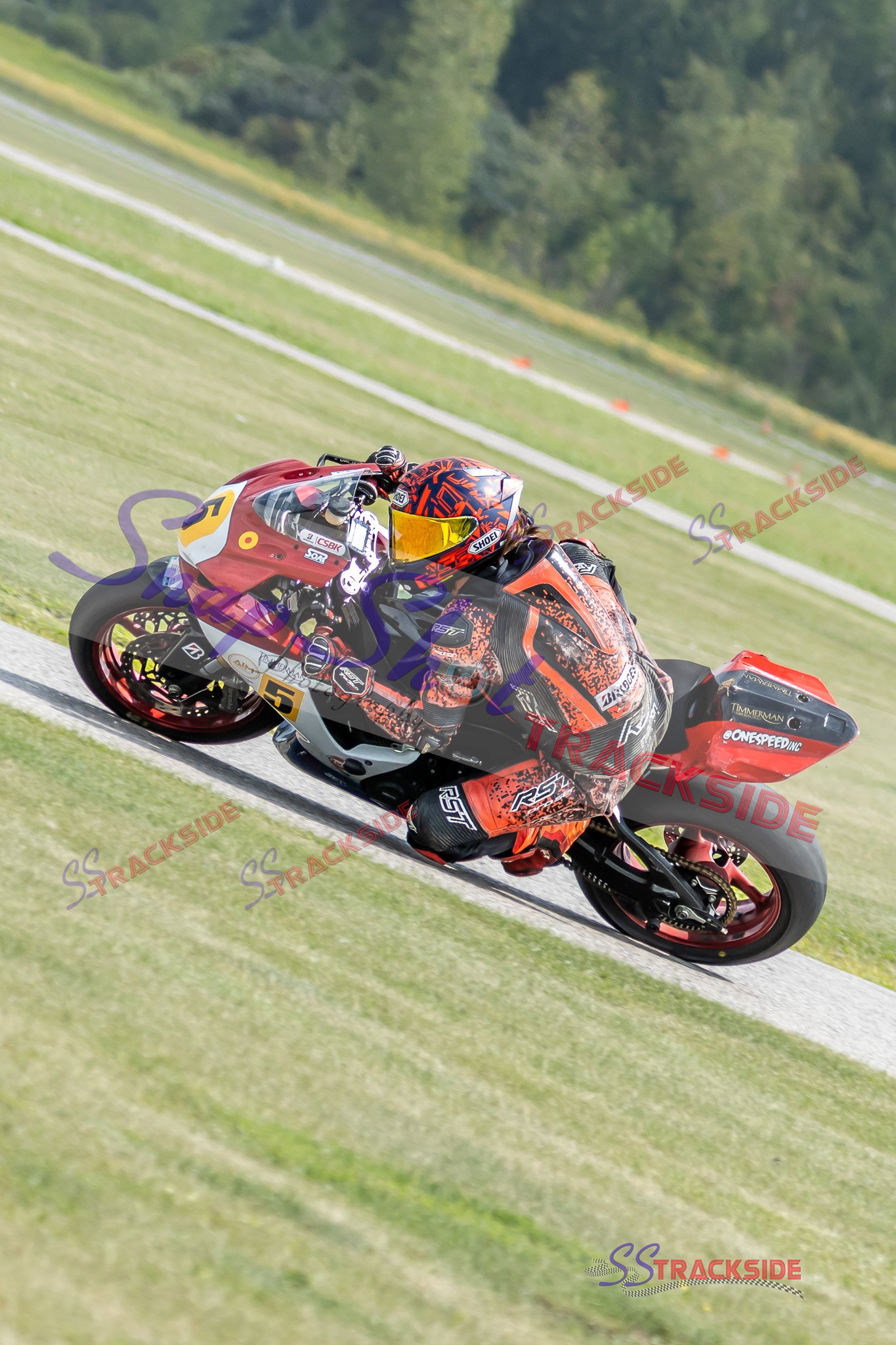 Q-R5-ProAMOpen-9176.jpg