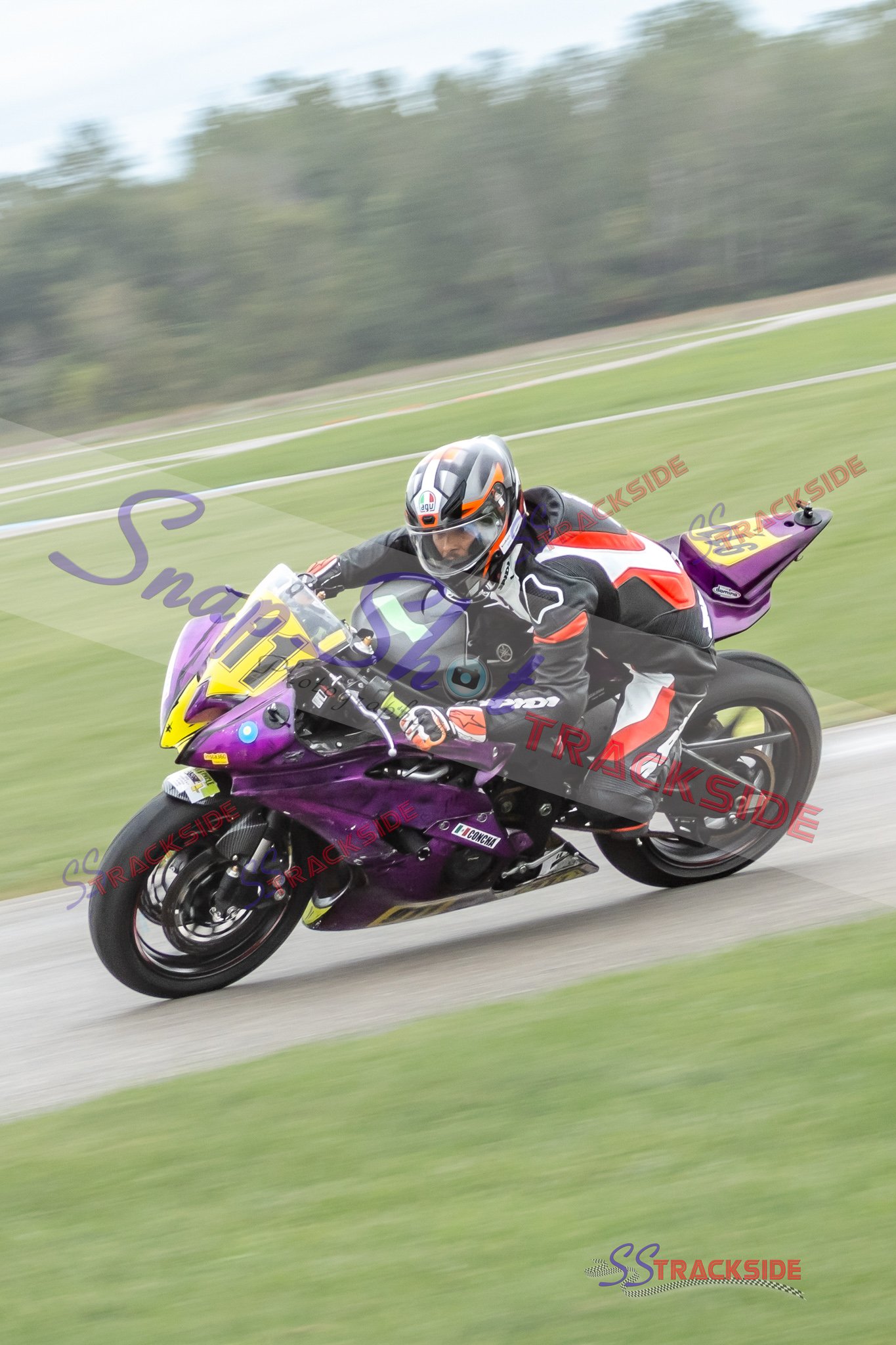 R6-BottH-Rook-2300.jpg