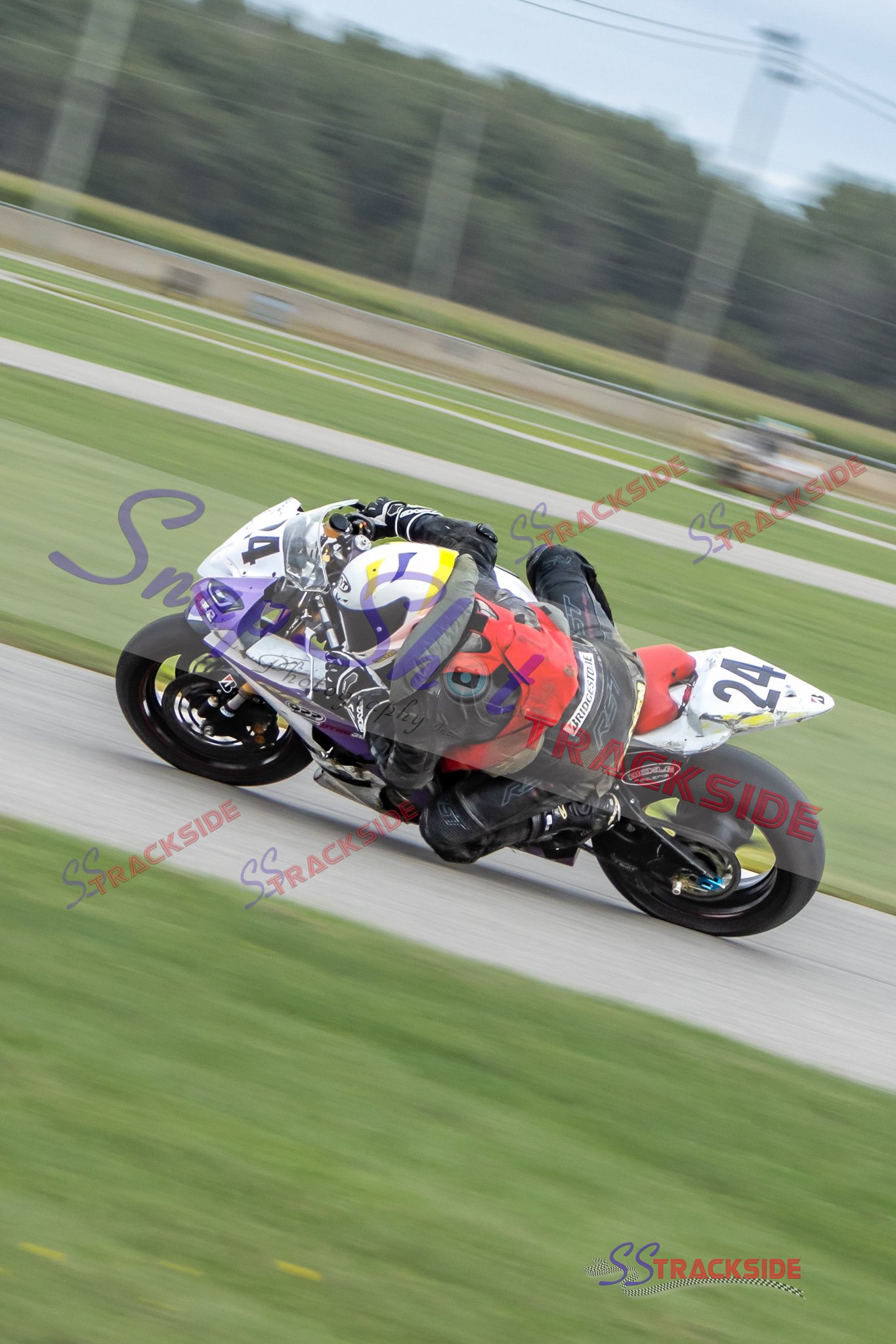 R6-Pro600-3713.jpg